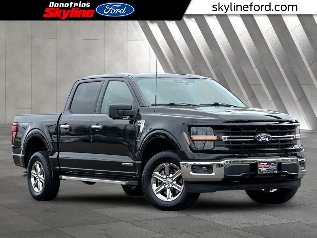 2024 Ford F-150 XLT in Black Metallic — front three-quarter view
